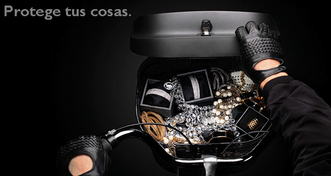 Avantum Brands Bike Bakset Lid